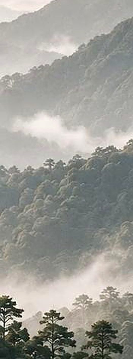 Serra com neblina na região de atuação da Drematech